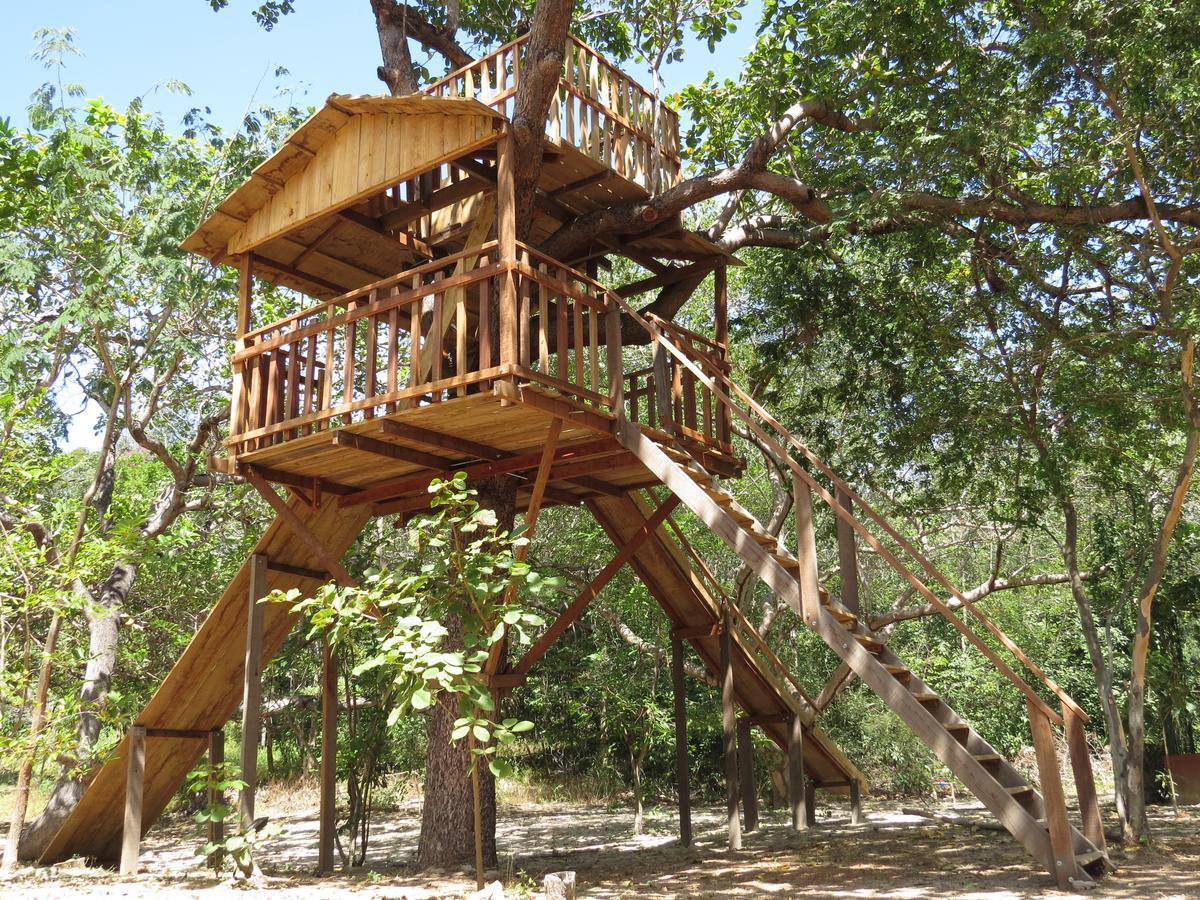 Oca Tocarijus Eco Resort Piracuruca Exterior foto